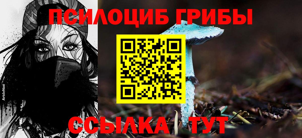 Златоуст  Псилоцибиновые грибы Psilocybe  Вход с VPN 