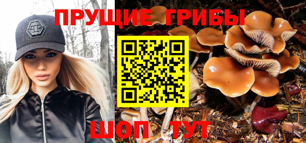 Псилоцибиновые грибы мицелий Златоуст